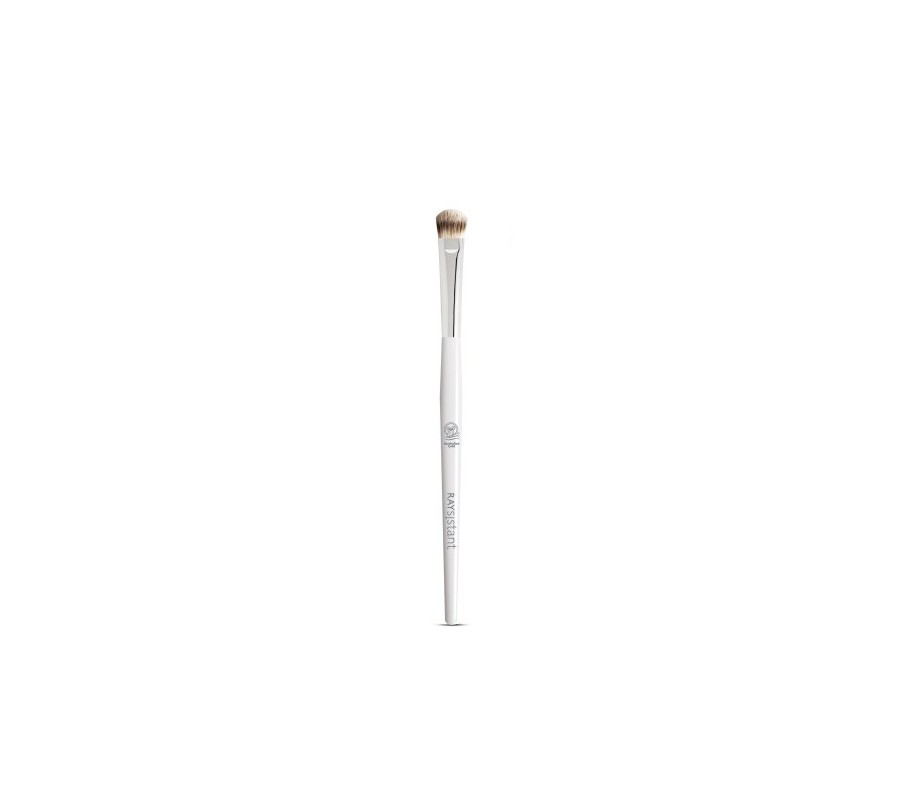 RAYSISTANT EYESHADOW BRUSH